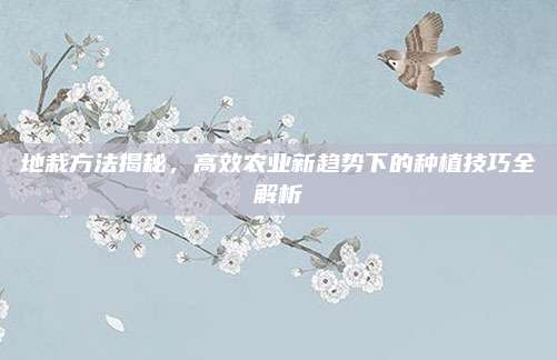地栽方法揭秘，高效农业新趋势下的种植技巧全解析