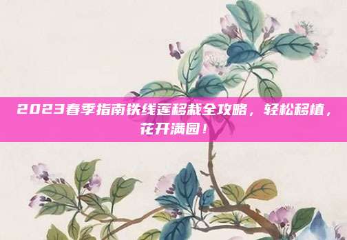 2023春季指南铁线莲移栽全攻略，轻松移植，花开满园！