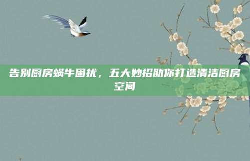 告别厨房蜗牛困扰，五大妙招助你打造清洁厨房空间
