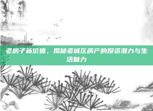 老房子新价值，揭秘老城区房产的投资潜力与生活魅力