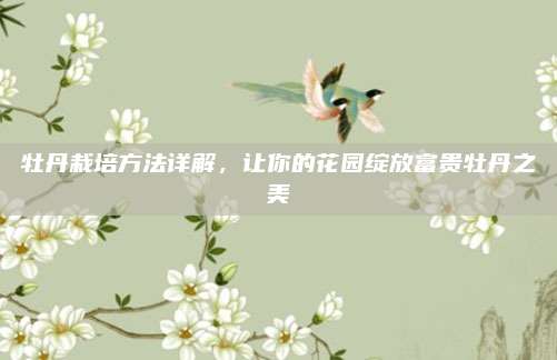 牡丹栽培方法详解，让你的花园绽放富贵牡丹之美