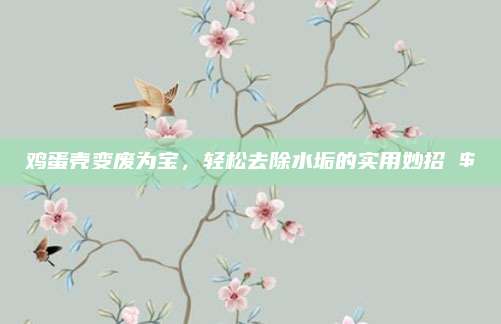 鸡蛋壳变废为宝，轻松去除水垢的实用妙招 $
