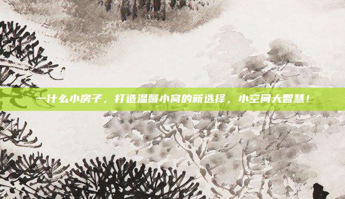 一什么小房子，打造温馨小窝的新选择，小空间大智慧！