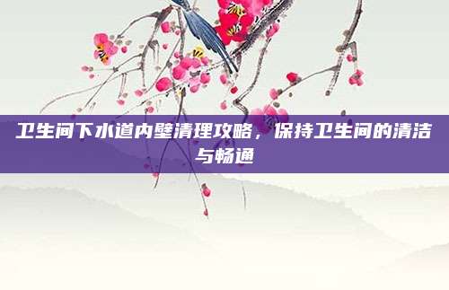卫生间下水道内壁清理攻略，保持卫生间的清洁与畅通