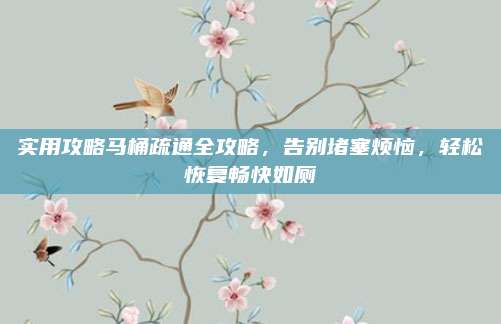 实用攻略马桶疏通全攻略，告别堵塞烦恼，轻松恢复畅快如厕