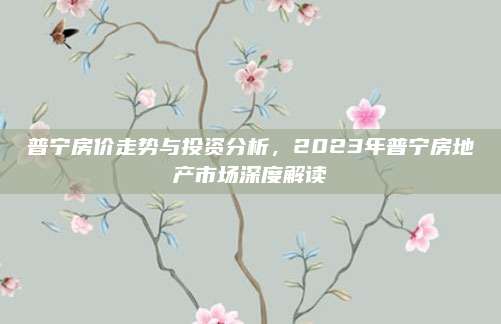 普宁房价走势与投资分析，2023年普宁房地产市场深度解读
