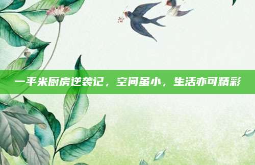 一平米厨房逆袭记，空间虽小，生活亦可精彩