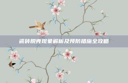 瓷砖脱壳现象解析及预防措施全攻略