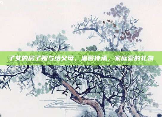 子女的房子赠与给父母，温馨传承，家庭爱的礼物