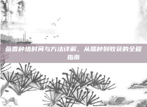 茴香种植时间与方法详解，从播种到收获的全程指南