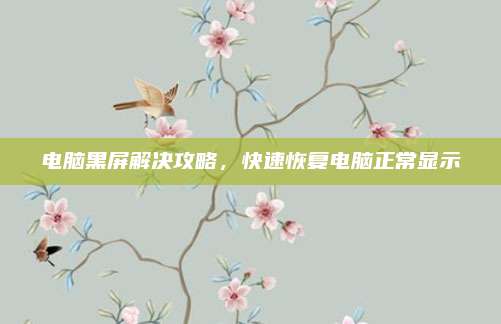电脑黑屏解决攻略，快速恢复电脑正常显示