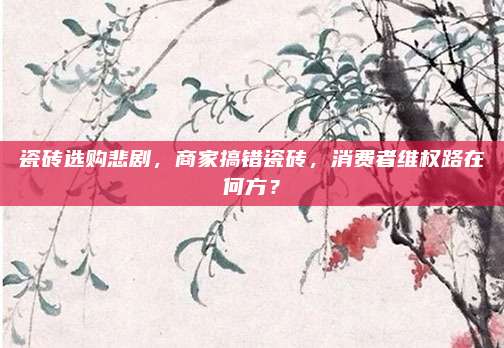 瓷砖选购悲剧，商家搞错瓷砖，消费者维权路在何方？