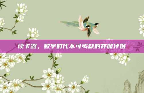 读卡器，数字时代不可或缺的存储伴侣