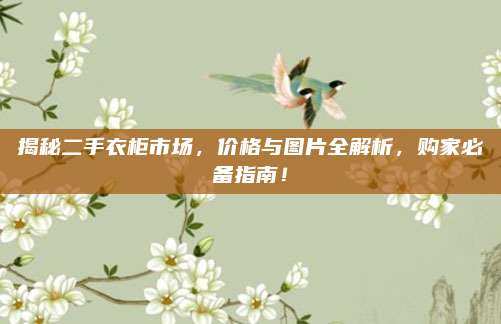 揭秘二手衣柜市场，价格与图片全解析，购家必备指南！