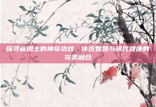 探寻食用土的神奇功效，传统智慧与现代健康的完美融合