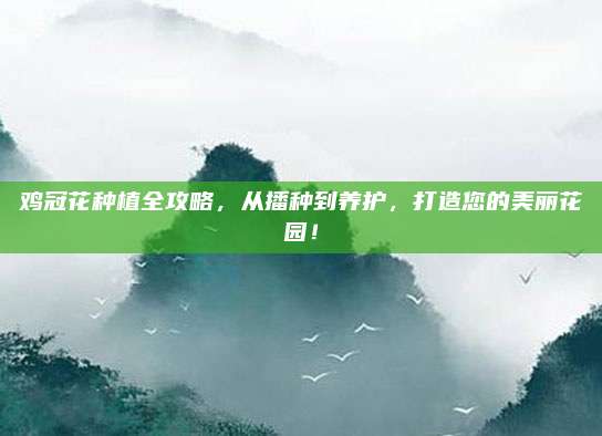 鸡冠花种植全攻略，从播种到养护，打造您的美丽花园！