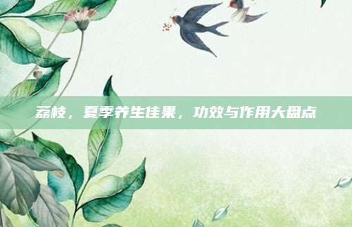荔枝，夏季养生佳果，功效与作用大盘点