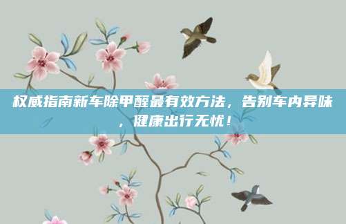 权威指南新车除甲醛最有效方法，告别车内异味，健康出行无忧！