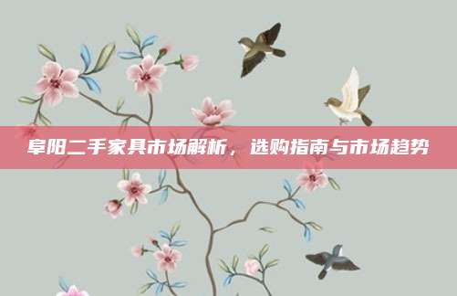 阜阳二手家具市场解析，选购指南与市场趋势