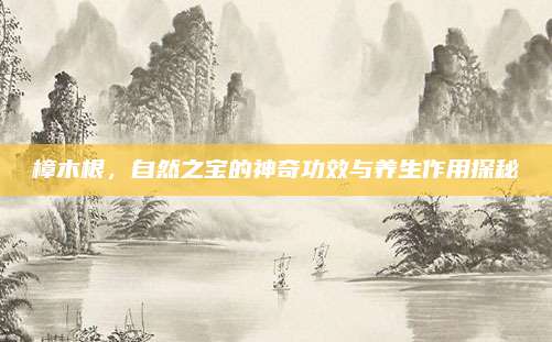 樟木根，自然之宝的神奇功效与养生作用探秘