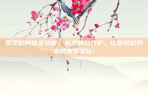 罗汉松种植全攻略，从选种到养护，让你轻松养出健康罗汉松！