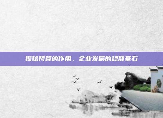 揭秘预算的作用，企业发展的稳健基石