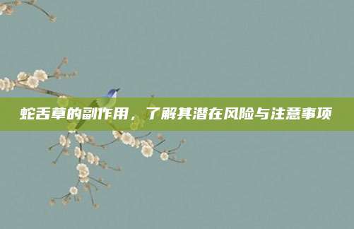 蛇舌草的副作用，了解其潜在风险与注意事项