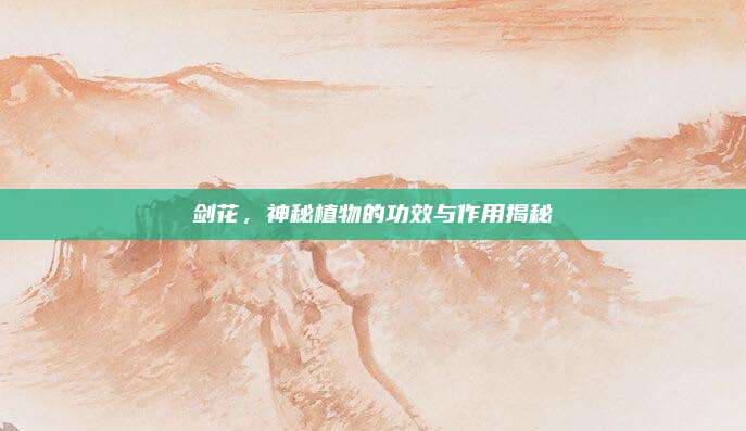剑花，神秘植物的功效与作用揭秘