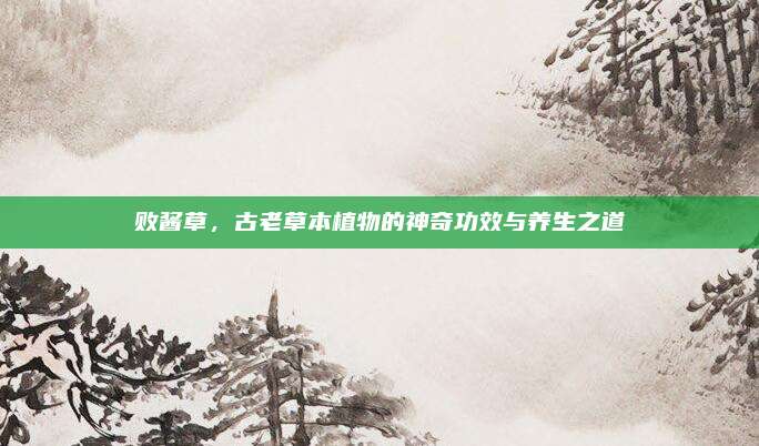 败酱草，古老草本植物的神奇功效与养生之道