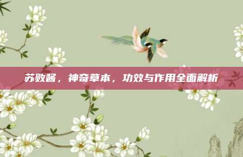 苏败酱，神奇草本，功效与作用全面解析