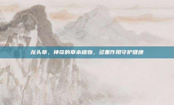 龙头草，神奇的草本植物，多重作用守护健康