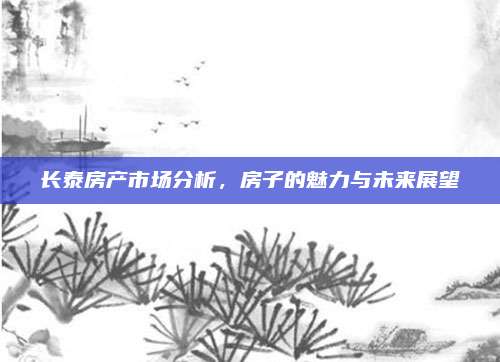 长泰房产市场分析，房子的魅力与未来展望