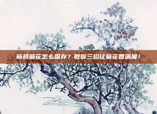新鲜菊花怎么保存？教你三招让菊花香满屋！