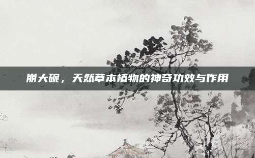 崩大碗，天然草本植物的神奇功效与作用