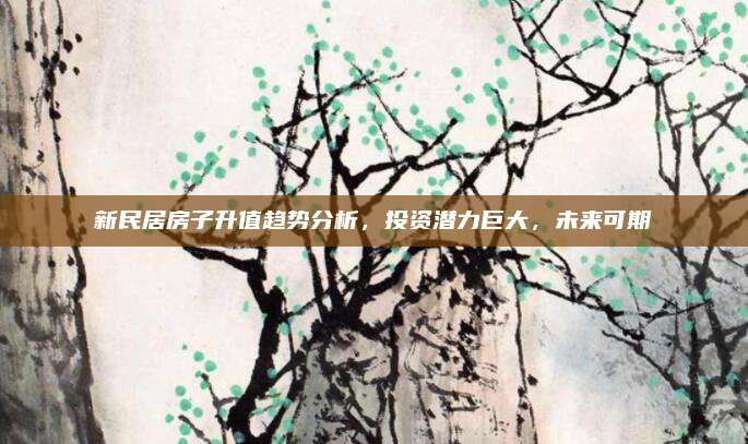 新民居房子升值趋势分析，投资潜力巨大，未来可期