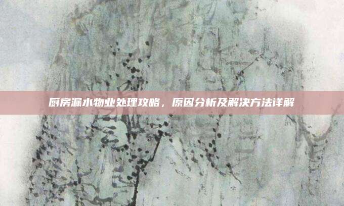 厨房漏水物业处理攻略，原因分析及解决方法详解