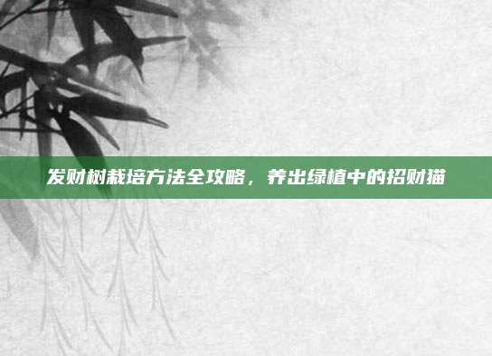 发财树栽培方法全攻略，养出绿植中的招财猫