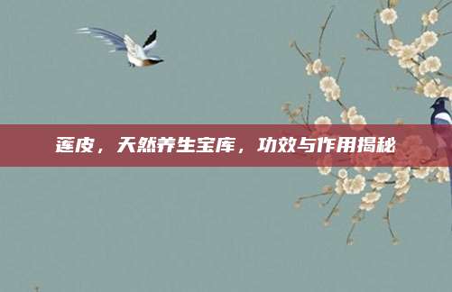 莲皮，天然养生宝库，功效与作用揭秘