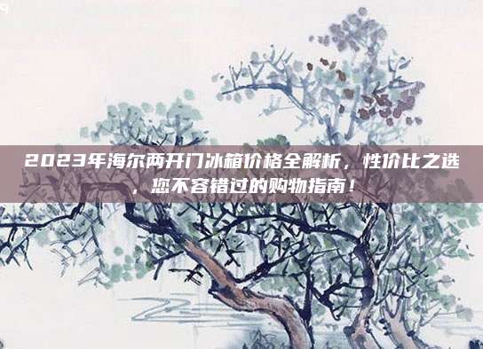2023年海尔两开门冰箱价格全解析，性价比之选，您不容错过的购物指南！