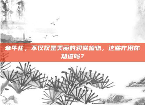 牵牛花，不仅仅是美丽的观赏植物，这些作用你知道吗？