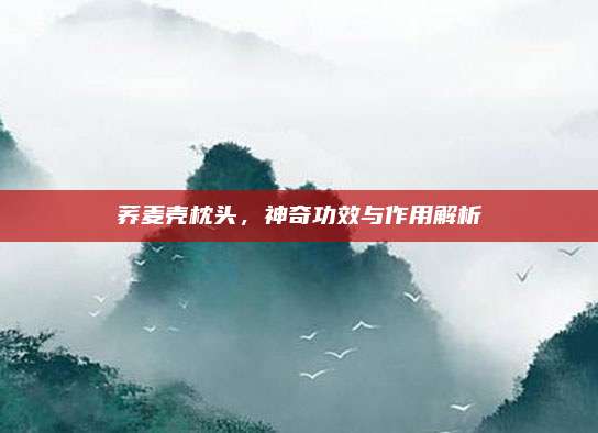 荞麦壳枕头，神奇功效与作用解析