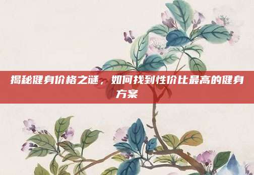 揭秘健身价格之谜，如何找到性价比最高的健身方案