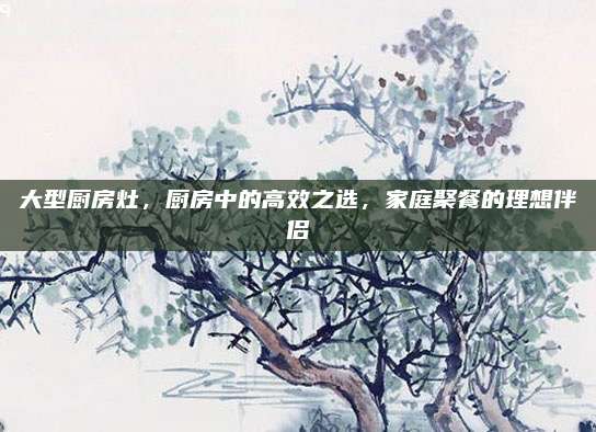 大型厨房灶，厨房中的高效之选，家庭聚餐的理想伴侣