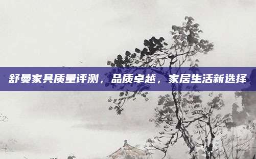 舒曼家具质量评测，品质卓越，家居生活新选择