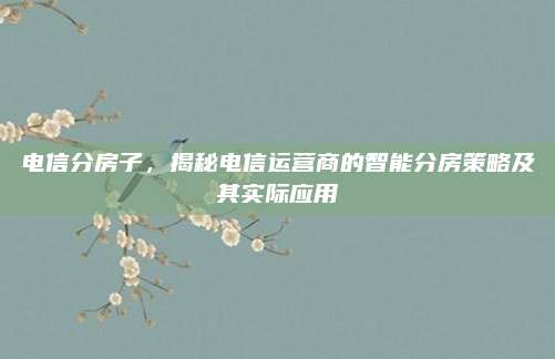电信分房子，揭秘电信运营商的智能分房策略及其实际应用