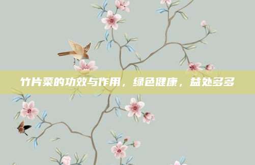 竹片菜的功效与作用，绿色健康，益处多多