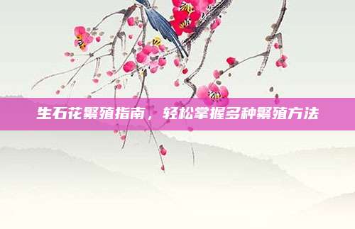 生石花繁殖指南，轻松掌握多种繁殖方法