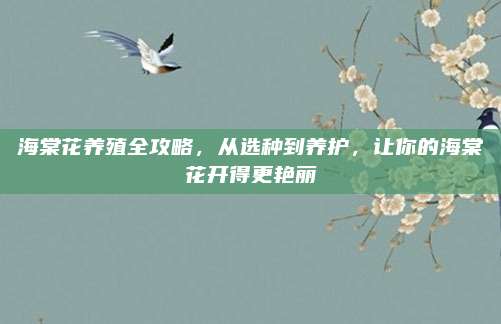 海棠花养殖全攻略，从选种到养护，让你的海棠花开得更艳丽
