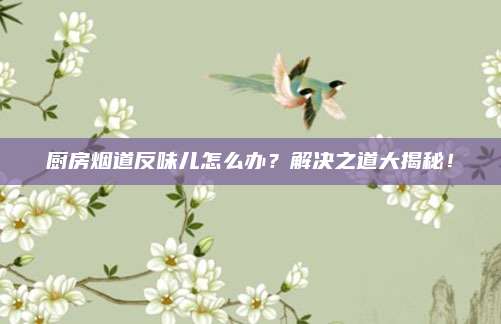 厨房烟道反味儿怎么办？解决之道大揭秘！
