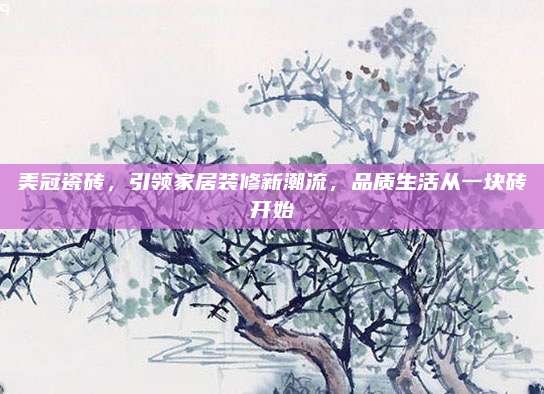 美冠瓷砖，引领家居装修新潮流，品质生活从一块砖开始